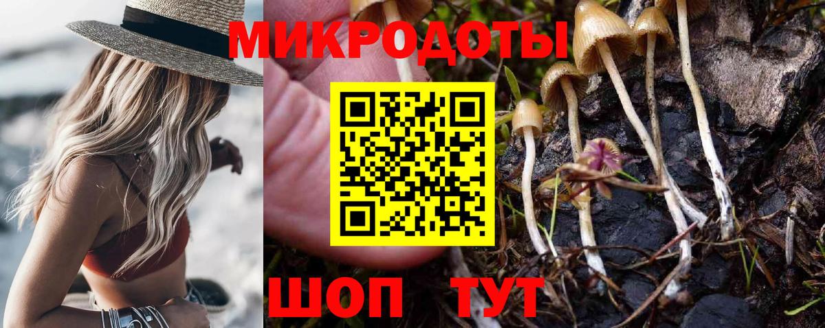 Галлюциногенные грибы прущие грибы Воткинск