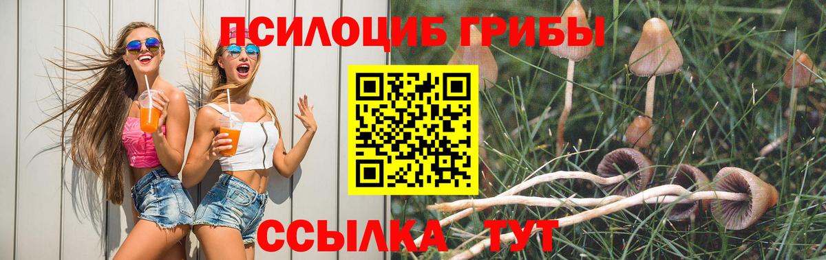 Галлюциногенные грибы GOLDEN TEACHER  закладки  Воткинск  Вход с VPN  Галлюциногенные грибы Psilocybine cubensis 